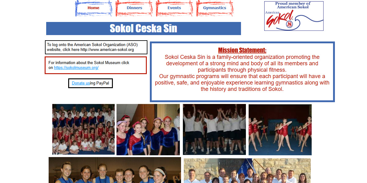 Sokol Ceska Sin