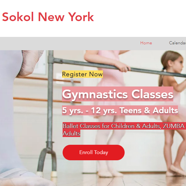 Czech Category Near Me - Sokol New York